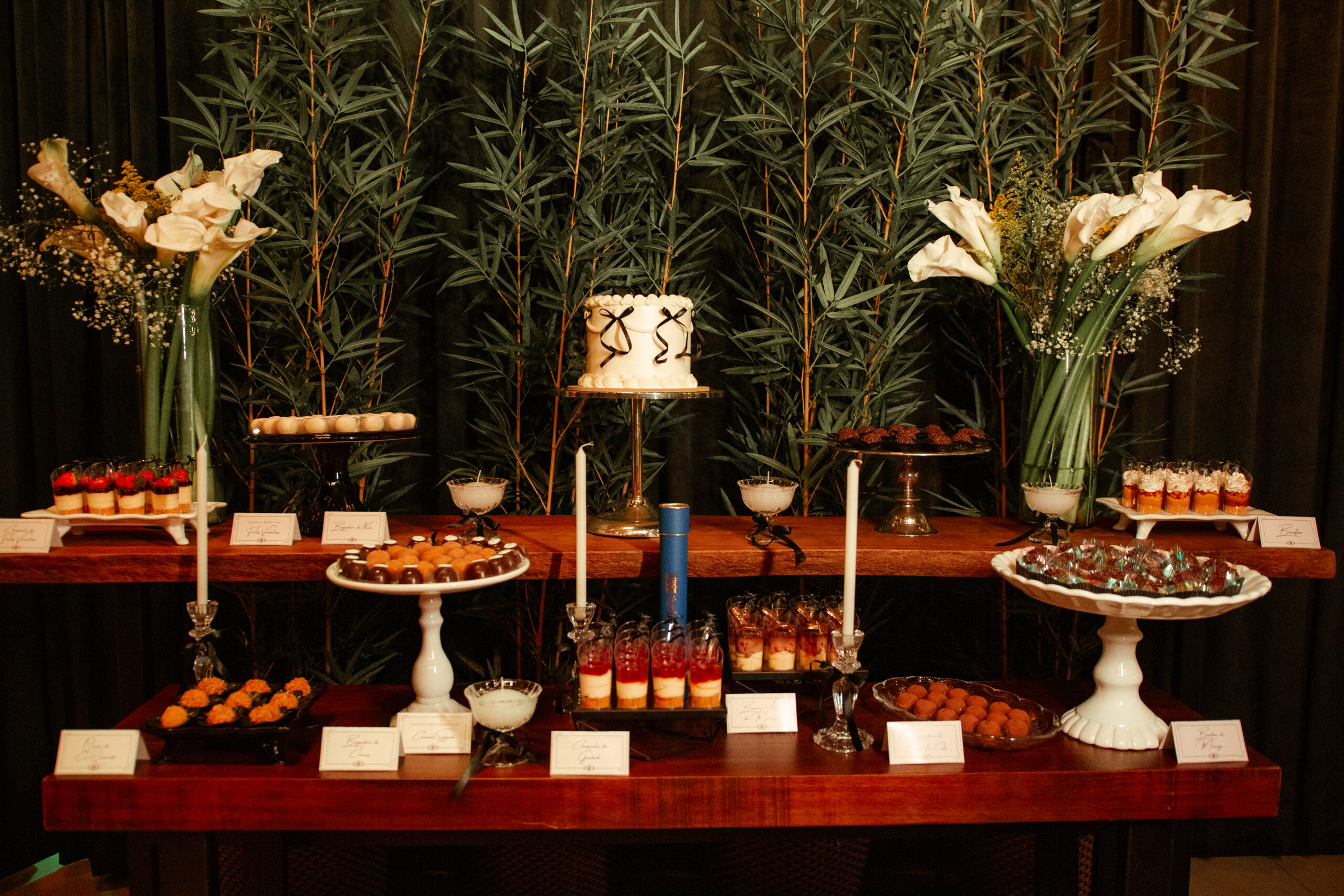 Lara_Passos_Formatura-12